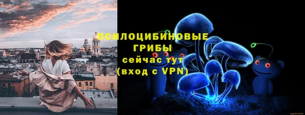 МДПВ Кодинск
