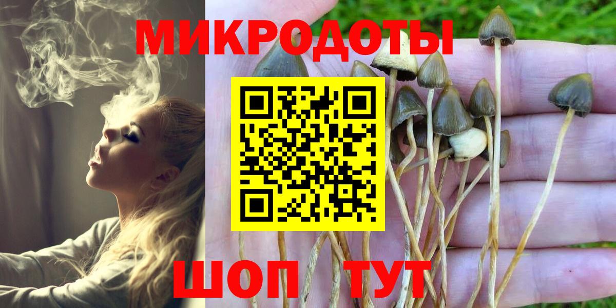 Стерлитамак  Псилоцибиновые грибы мицелий  Вход с VPN  закладка  Псилоцибиновые грибы мухоморы 